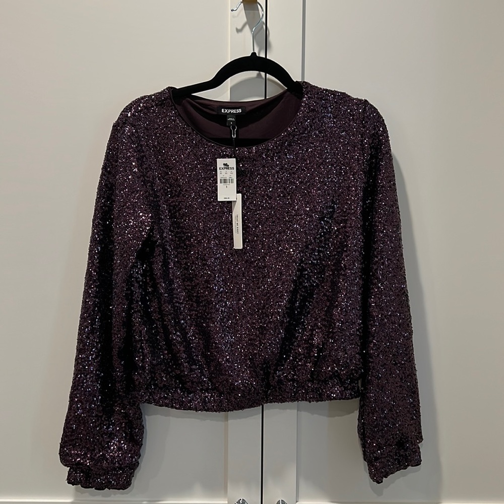 Express Sequin Long Sleeve Banded Bottom Top